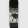 Dog 8.375" Skateboard Deck