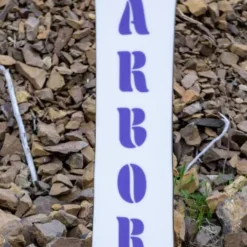 Arbor Ethos Rocker 2024 Snowboard -Cheap Volcom Store EthosRocker2024Snowboard 6