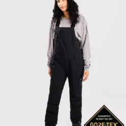Roxy Gore-Tex Prism Bib Pants