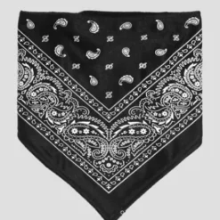 Paisley Snow Bandana