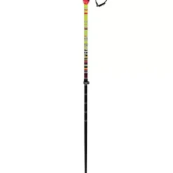 VÖLKL Phantastick FR 2024 Telescopic Poles