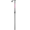 FACTION Prodigy 2023 Ski Poles