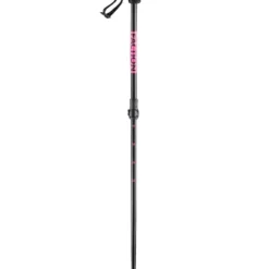 FACTION Prodigy 2023 Ski Poles